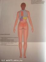 Зоны прямой проекции органов со спины